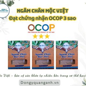 Ngâm chân mộc việt - Hộp  10 túi
