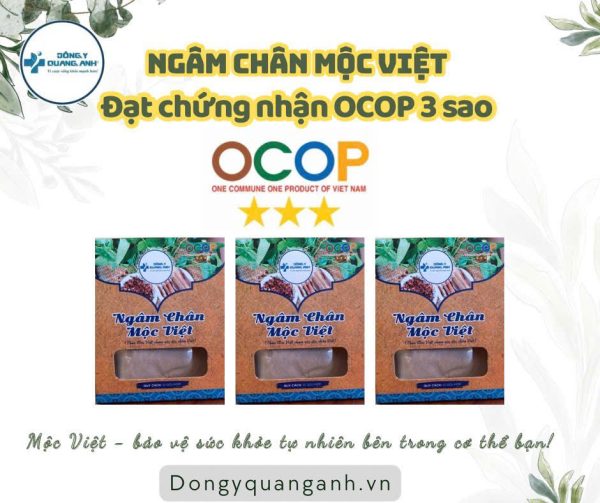 Ngâm chân mộc việt - Hộp  10 túi