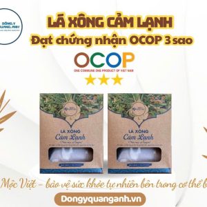 Lá Xông Cảm Lạnh - hộp 5 túi lọc